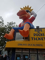 Ride The Ducks